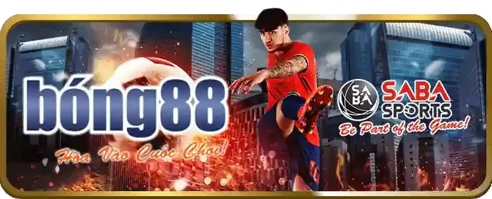 Người dùng đang theo dõi tỷ số trực tuyến và đặt cược trên điện thoại di động